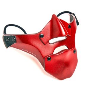 Mororcycle face mask