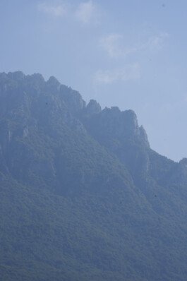 Rusty Brains - We build custom motorbikes.